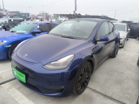 特斯拉 Model Y 2021款 Performance高性能全轮驱动版