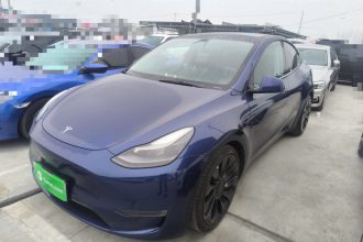 特斯拉 Model Y 2021款 Performance高性能全轮驱动版