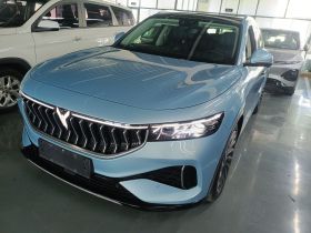 岚图汽车 岚图FREE 2021款 四驱标准纯电专属豪华套装