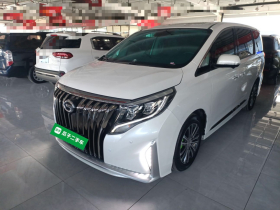 广汽传祺 传祺M8 2023款 领秀系列 390T 尊贵版