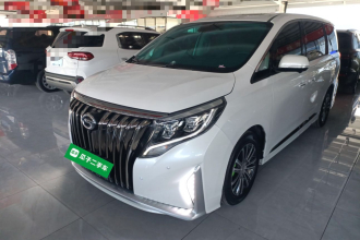 广汽传祺 传祺M8 2023款 领秀系列 390T 尊贵版