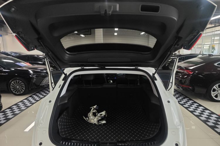 别克 微蓝6 2024款 450km 越享版 PLUS局部细节23