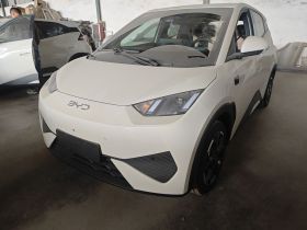 比亚迪 海鸥 2025款 智驾版 305km 自由版