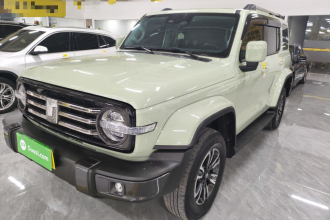 坦克300 2023款 城市版 2.0T 我看型