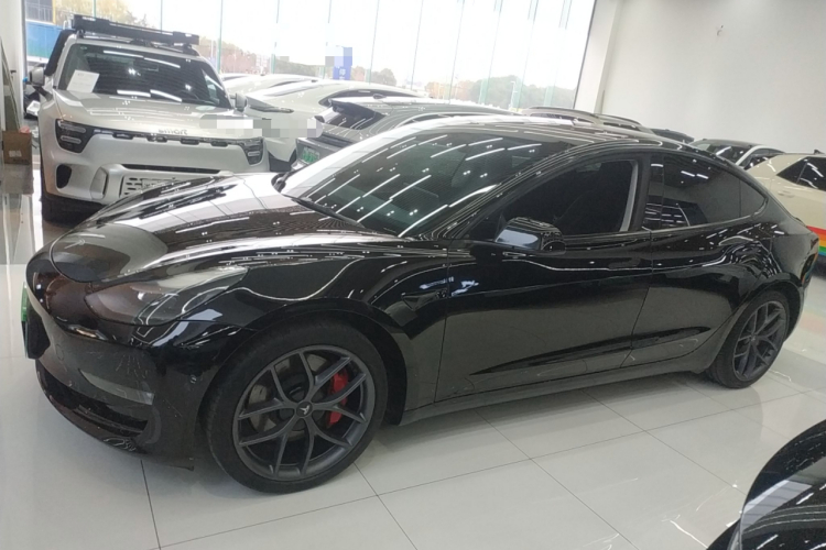 特斯拉 Model 3 2022款 Performance高性能全轮驱动版车身外观6003