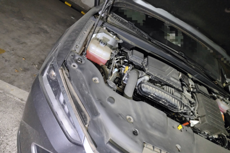 比亚迪 秦PLUS 2023款 冠军版 DM-i 55KM领先型局部细节9006