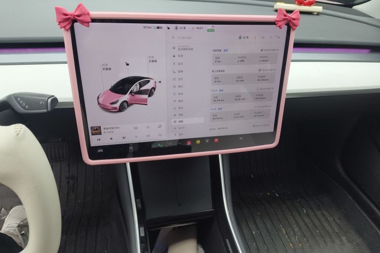 特斯拉 Model 3 2020款 改款 标准续航后驱升级版中控内饰16