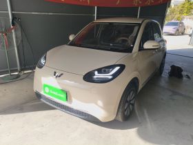 五菱汽车 五菱缤果 2025款 333km 悦享款