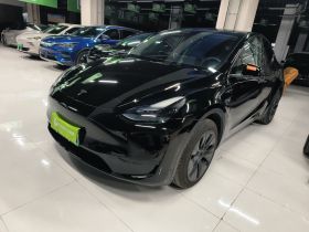 特斯拉 Model Y 2023款 后轮驱动版