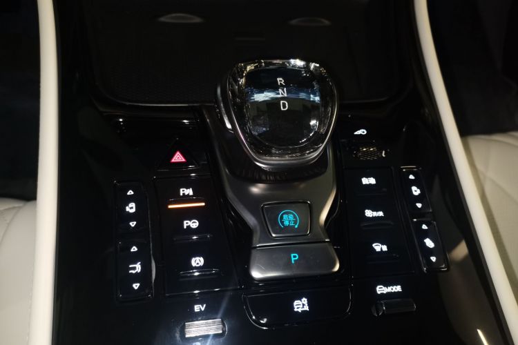 腾势D9 2024款 DM-i 980 四驱旗舰型中控内饰18