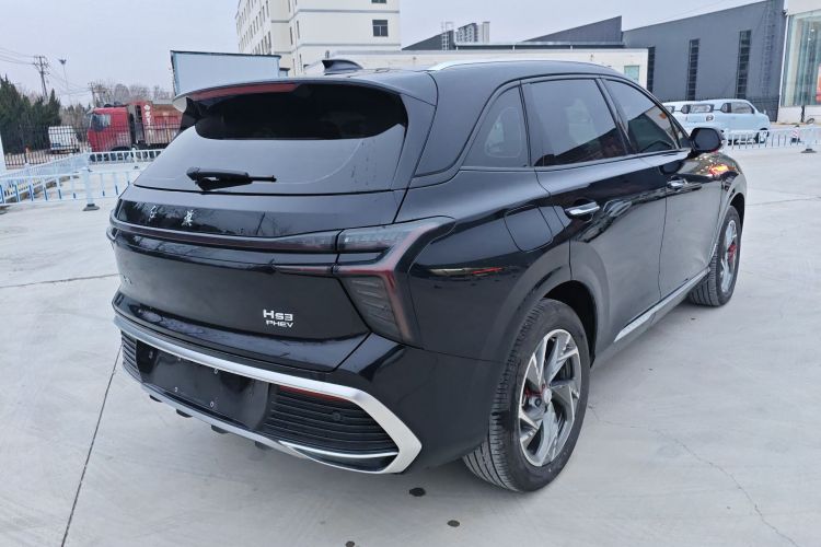 红旗HS3 PHEV 2024款 PHEV 115km 劲为版车身外观7