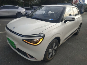 东风纳米 纳米01 2024款 焕新版 330 Air