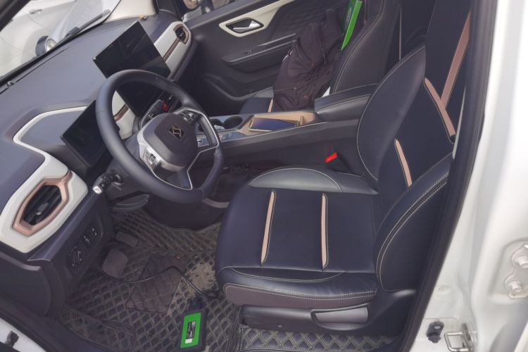 思皓 2022款 花仙子款 四叶草局部细节19