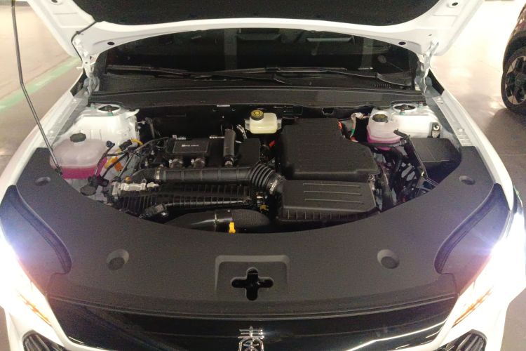 比亚迪 秦PLUS 2025款 DM-i 智驾版 128KM进取型机舱底盘24