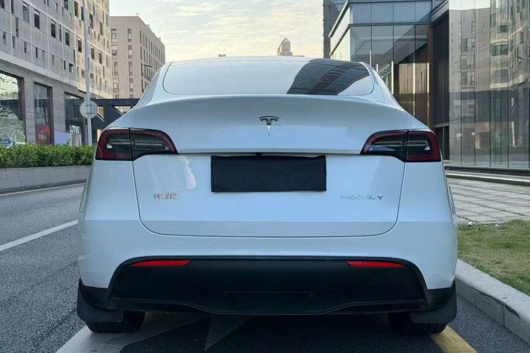 特斯拉 Model Y 2021款 长续航全轮驱动版车身外观6