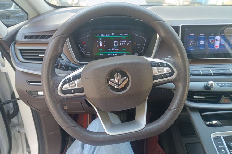 睿蓝汽车 枫叶80V 2021款 易行版 三元锂中控内饰13