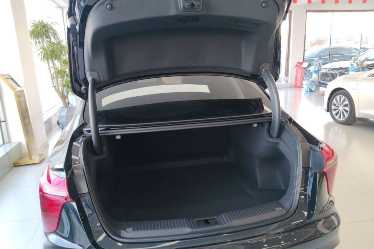 红旗H5 2025款 2.0T 自动旗领版机舱底盘23