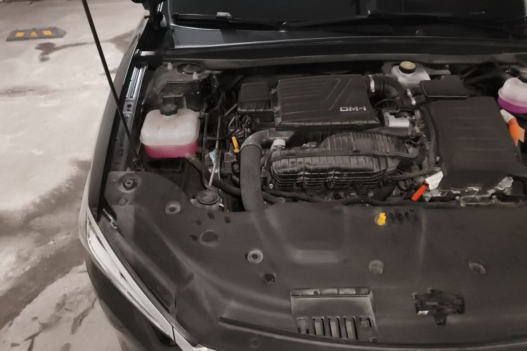 比亚迪 秦PLUS 2023款 冠军版 DM-i 120KM领先型局部细节9006