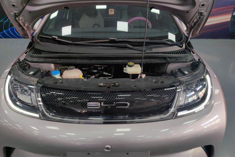 比亚迪 海豚 2023款 420km 自由版机舱底盘24