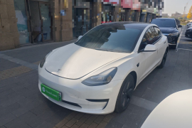 特斯拉 Model 3 2022款 后轮驱动版