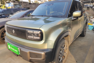 宝骏悦也Plus 2024款 智尊版 4座