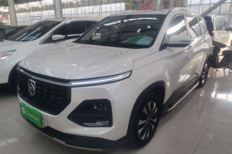 宝骏530 2021款 全球车周年纪念版 1.5T CVT尊贵互联型 6座