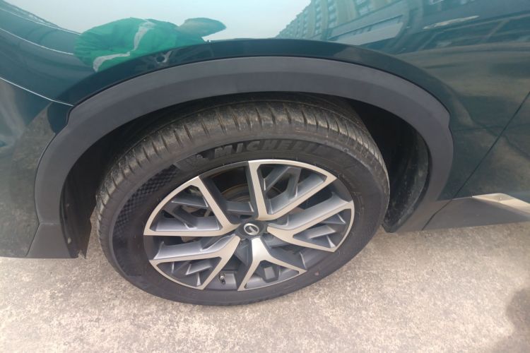 广汽传祺 传祺GS8 2022款 领航系列 2.0TGDI 两驱豪华智联版（七座）车身外观6007