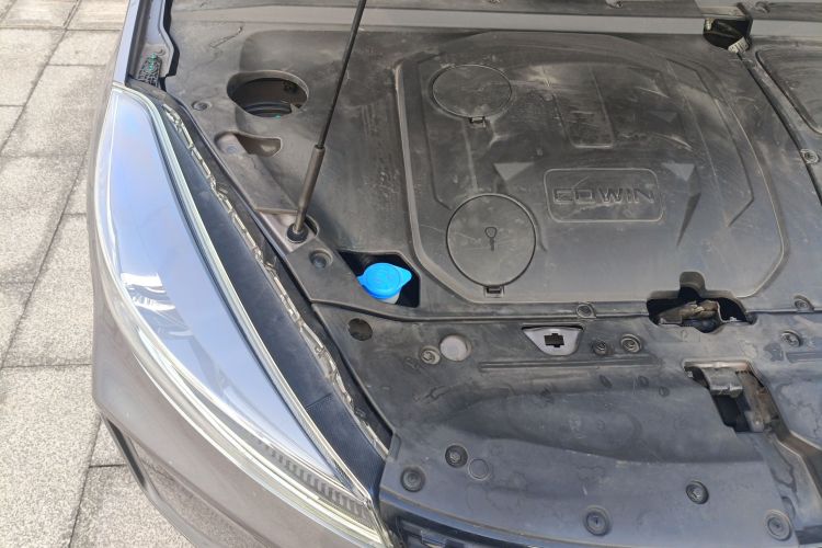 凯翼 炫界Pro 2021款 1.5T CVT劲尊版局部细节9006