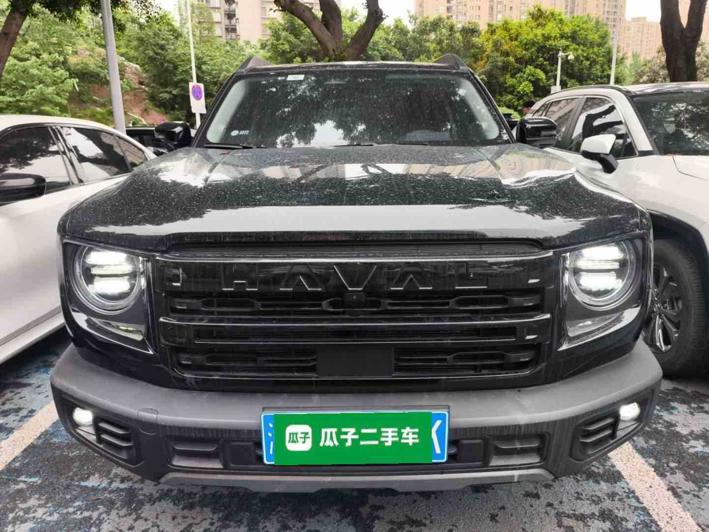 哈弗大狗 2024款 1.5T DCT边牧版(1)