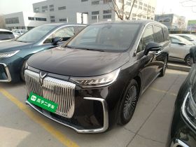 岚图汽车 岚图梦想家 2025款 PHEV 四驱旗舰鲲鹏版