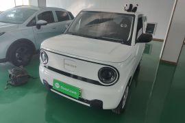 吉利银河 2023款 熊猫mini 200km 耐力熊