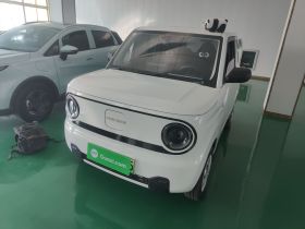 吉利银河 2023款 熊猫mini 200km 耐力熊