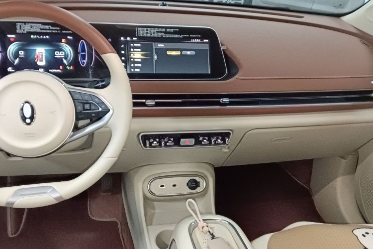 欧拉好猫 2023款 401km标准续航 豪华型 磷酸铁锂局部细节16