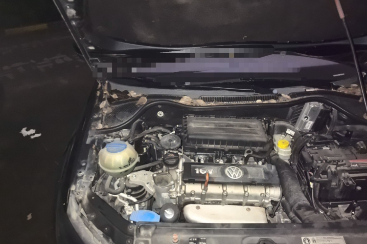 大众 Polo 2011款 1.6L 自动致酷版局部细节9006