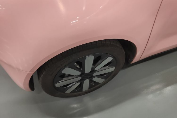 欧拉黑猫 2019款 351km 亲子版车身外观6007