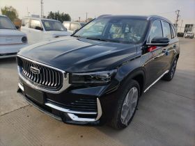 吉利汽车 星越L 2024款 2.0TD DCT EVO两驱长风版