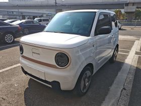 吉利银河 2023款 熊猫mini 200km 灵动熊