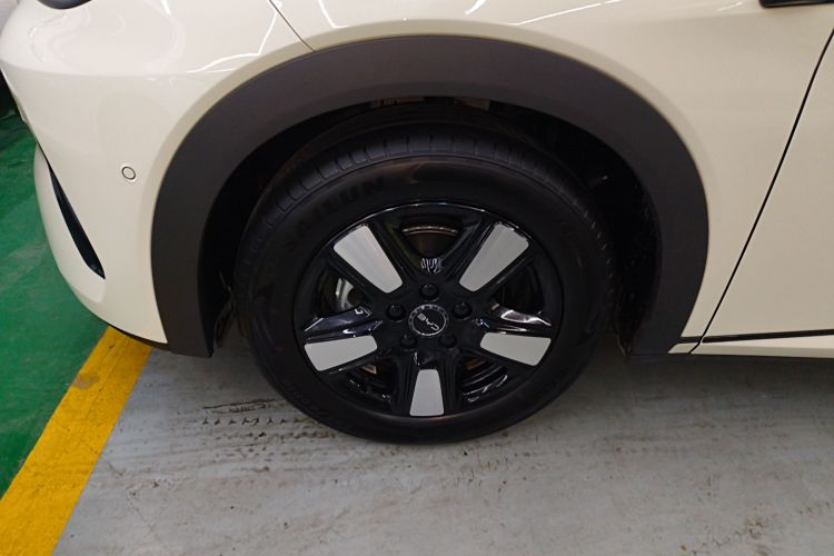 比亚迪 海豚 2025款 智驾版 410km 时尚版车身外观6007