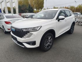 哈弗H6新能源 2023款 DHT-PHEV 110KM 畅行版