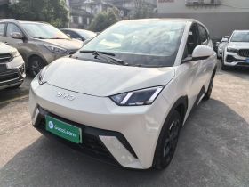 比亚迪 海鸥 2024款 荣耀版 405km 飞翔版