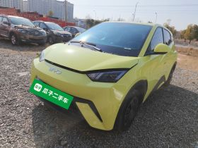 比亚迪 海鸥 2023款 活力版