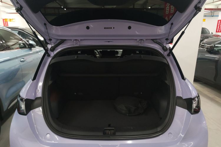 比亚迪 海豚 2024款 荣耀版 420km 时尚版局部细节23