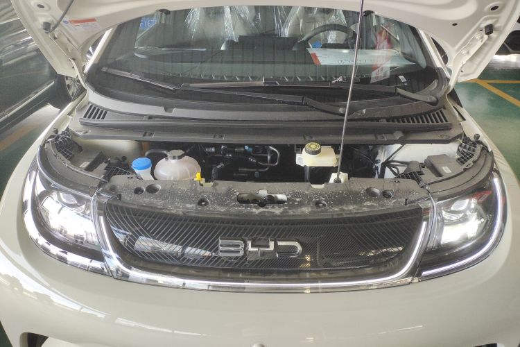 比亚迪 海豚 2025款 420km 自由版机舱底盘24