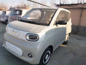 五菱汽车 宏光MINIEV 2024款 第三代 215km 青春版