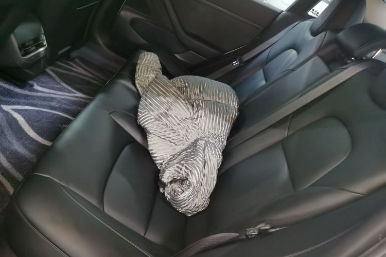 特斯拉 Model 3 2020款 标准续航后驱升级版中控内饰21