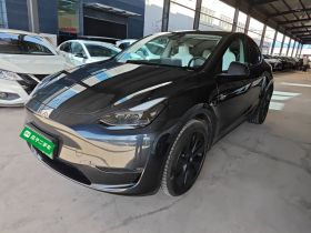 特斯拉 Model Y 2024款 长续航全轮驱动版
