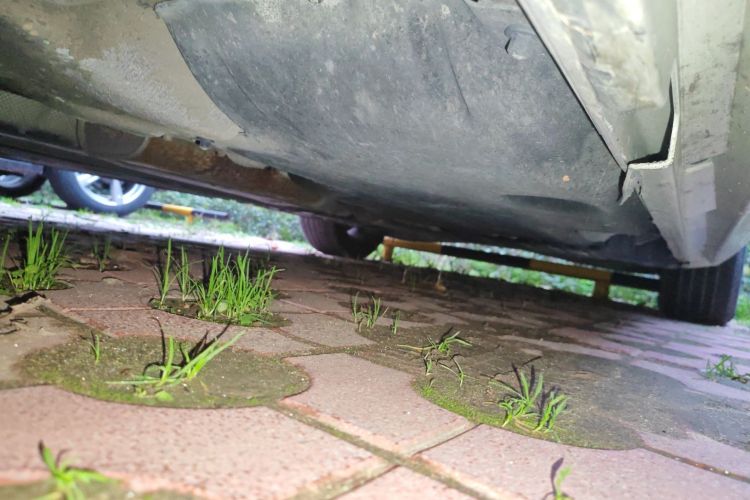 沃尔沃S60(进口) 2012款 1.6T DRIVe 舒适版局部细节9004