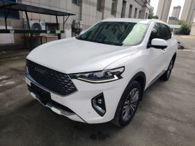 哈弗F7 2020款 2.0T 两驱i范