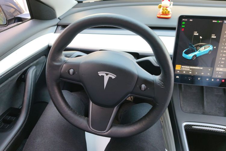 特斯拉 Model 3 2021款 Performance高性能全轮驱动版局部细节13