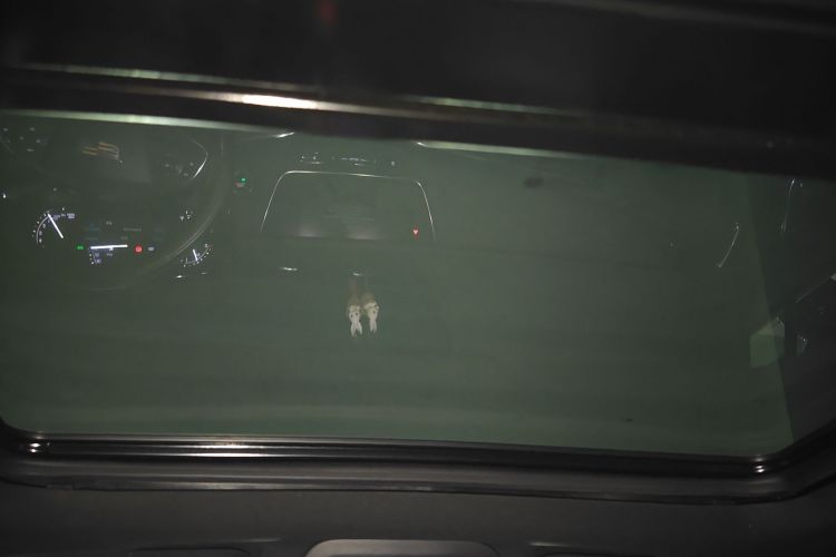 凯迪拉克XT5 2018款 28E 四驱技术型局部细节22